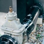 pexels-markus-winkler-1430818-13726337